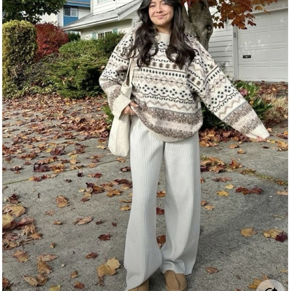 Mountain Lake Beige and Brown Sweater